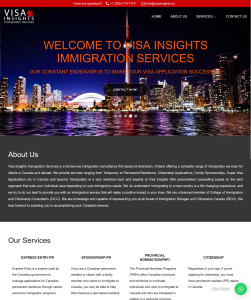 VisaInsights